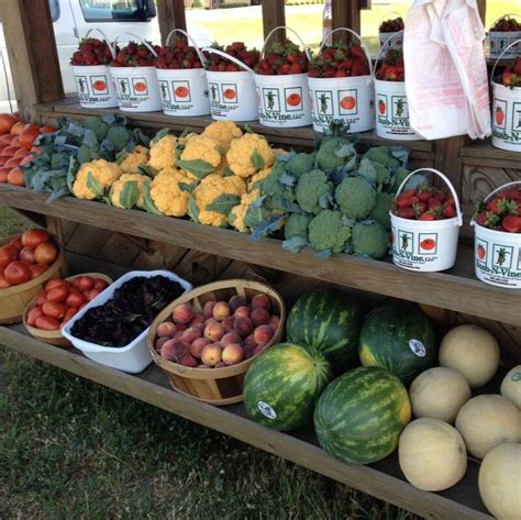 Bush n vine - Page · Fruit & Vegetable Store. 1650 Filbert Hwy, York, SC, United States, South Carolina. (803) 684-2732. Closing Soon. In-store pickup. …